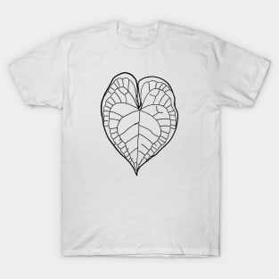 Anthurium clarinervium T-Shirt